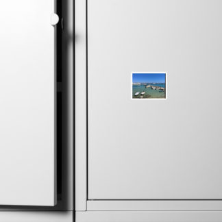 Magnet